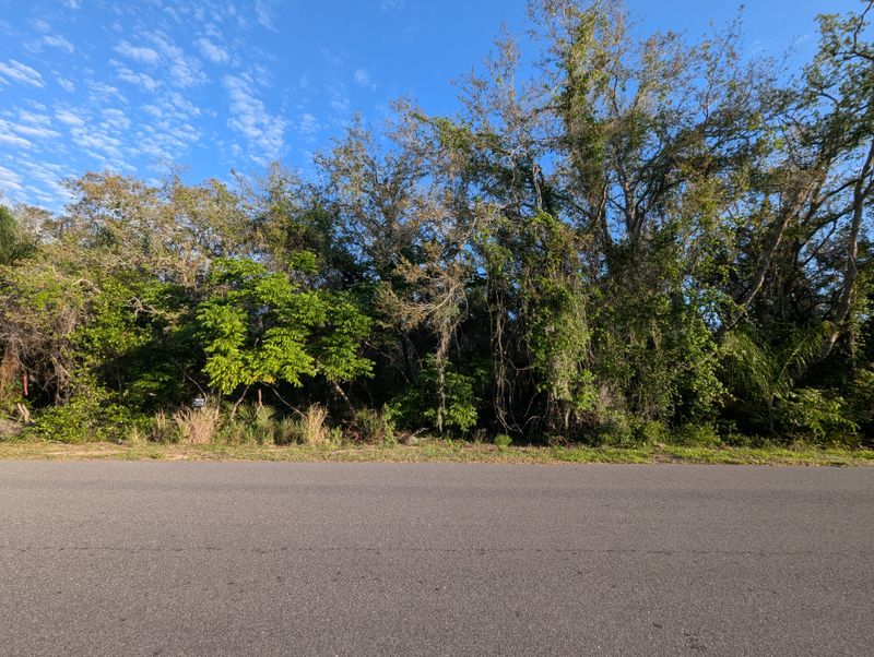 Land Clearing
