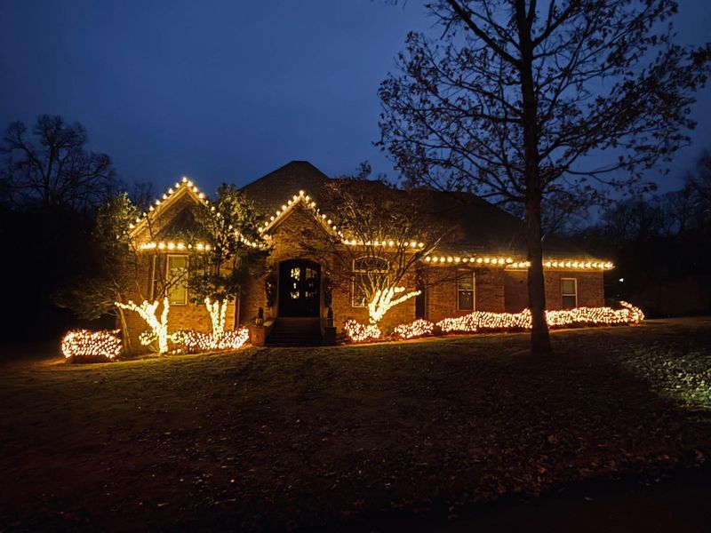 Christmas lights