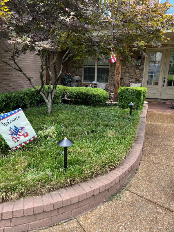 Landscape Lighting