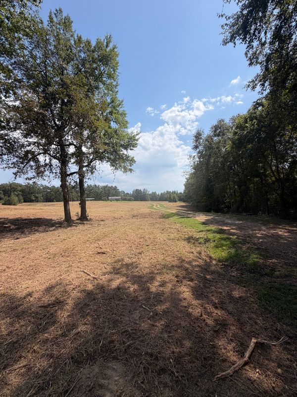 Land Clearing