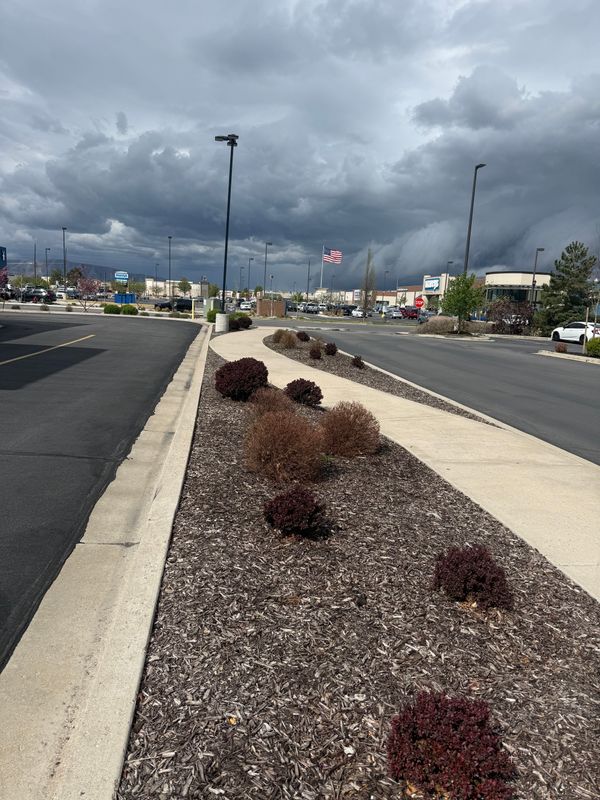 Mulch Installation