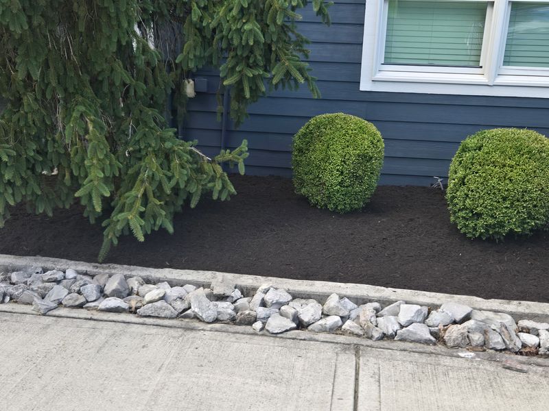 Shrub Trimming