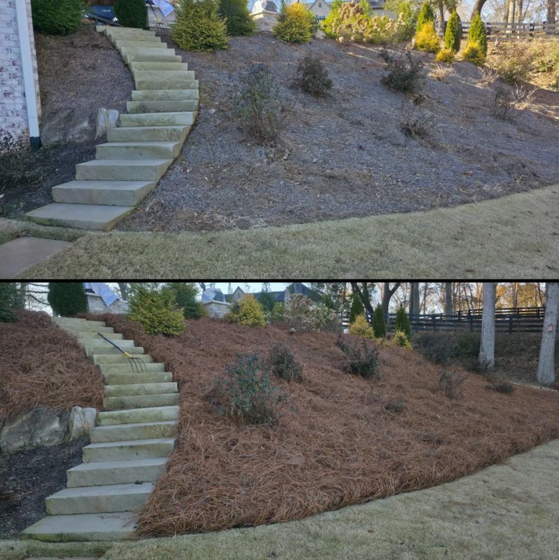 Landscaping