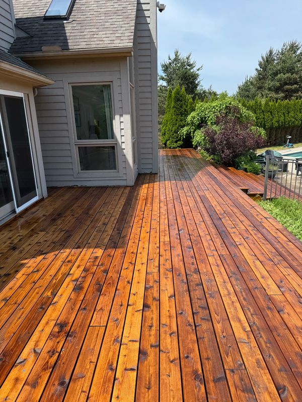 Deck & Patio Restoration