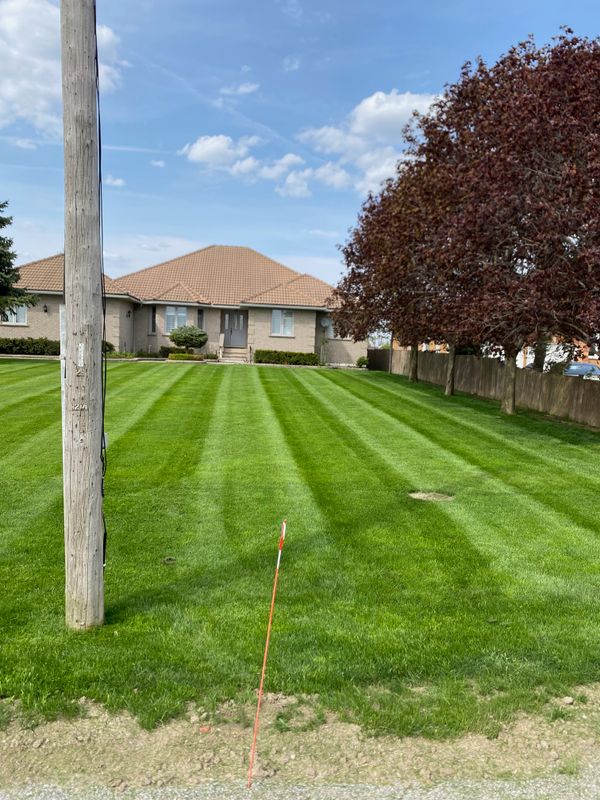 Lawn Mowing