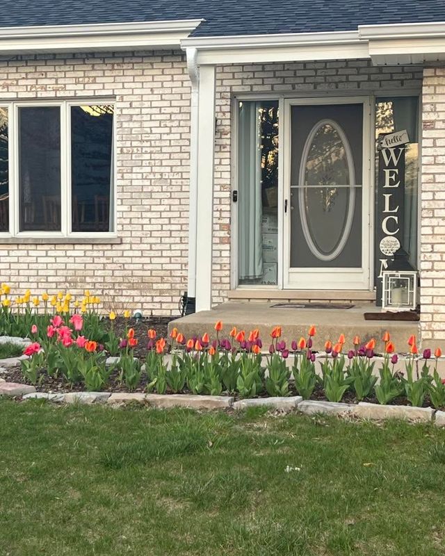 Landscape Design & Installation