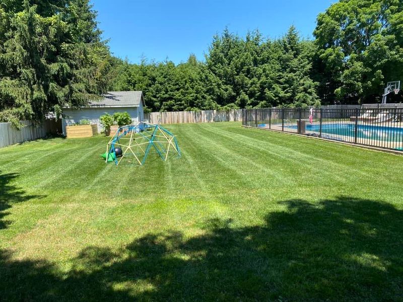 Lawn Care