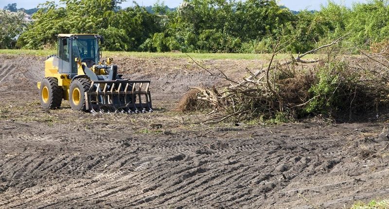 Land Clearing