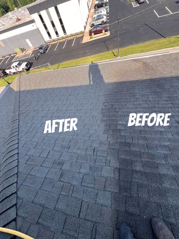 Roof Cleaning