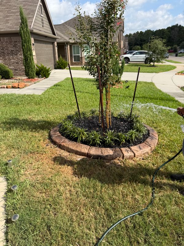 Landscape Border Systems