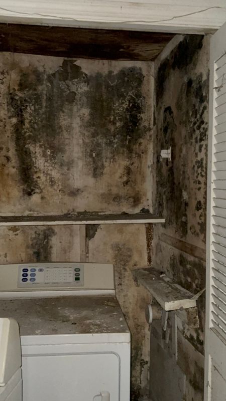 Mold Remediation