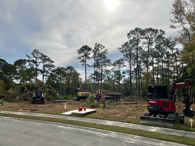Land Clearing