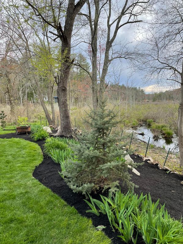 Landscaping