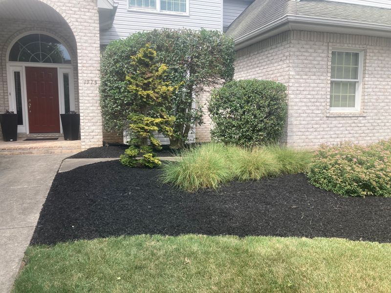 Landscape Design
