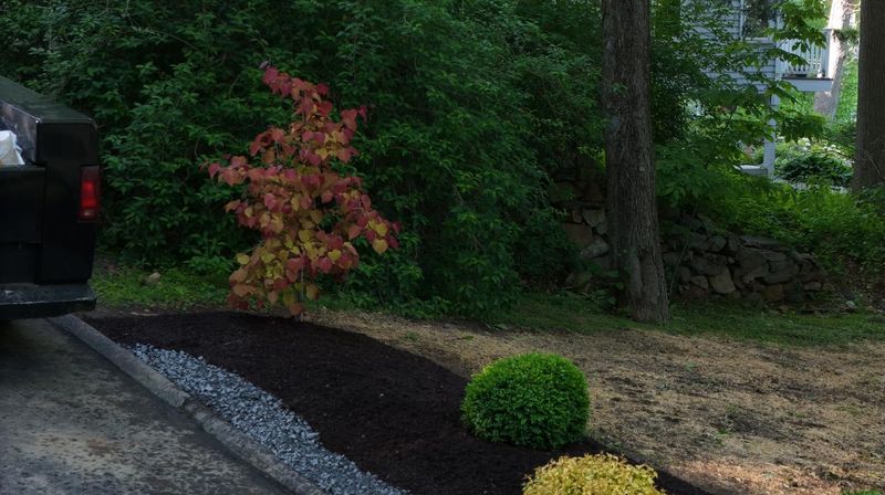 Plantings & Landscape Design