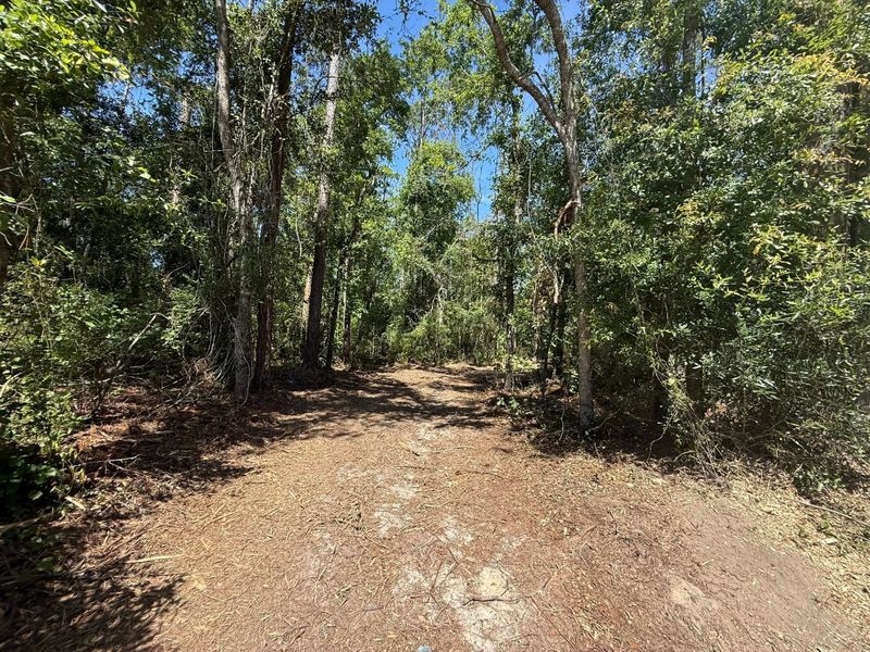 Land Clearing