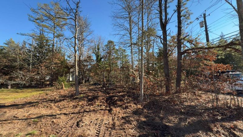 Land Clearing