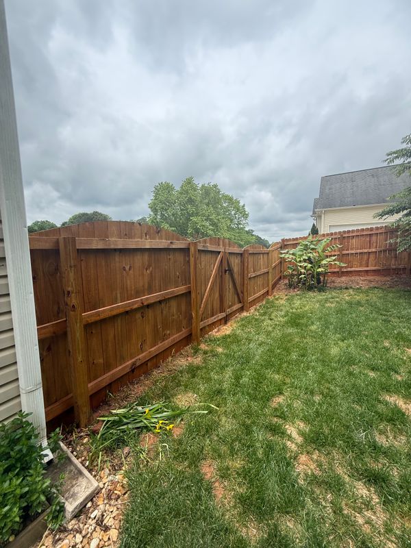 Deck & Fence Staining