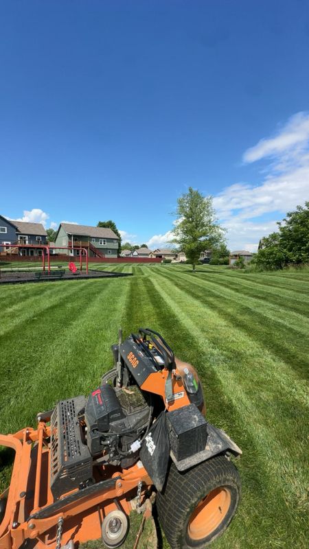 Lawn Mowing