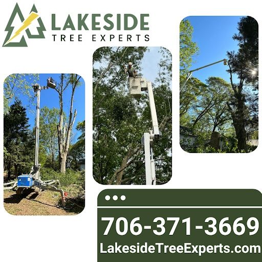 Tree Trimming