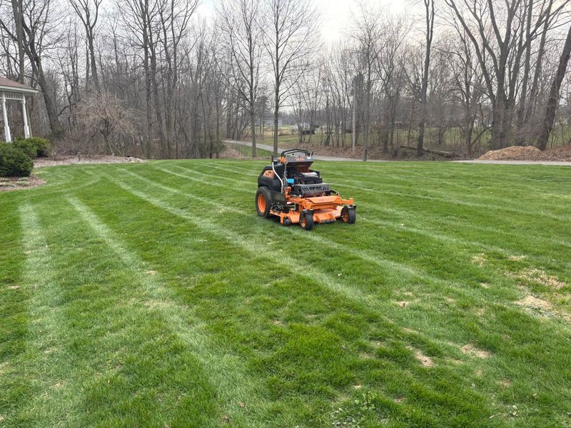 Lawn Maintenance