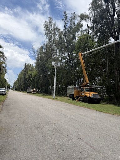 Tree Trimming