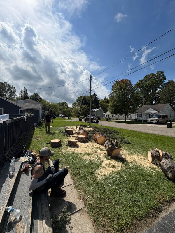Tree Removal
