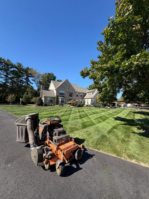 Lawn Maintenance