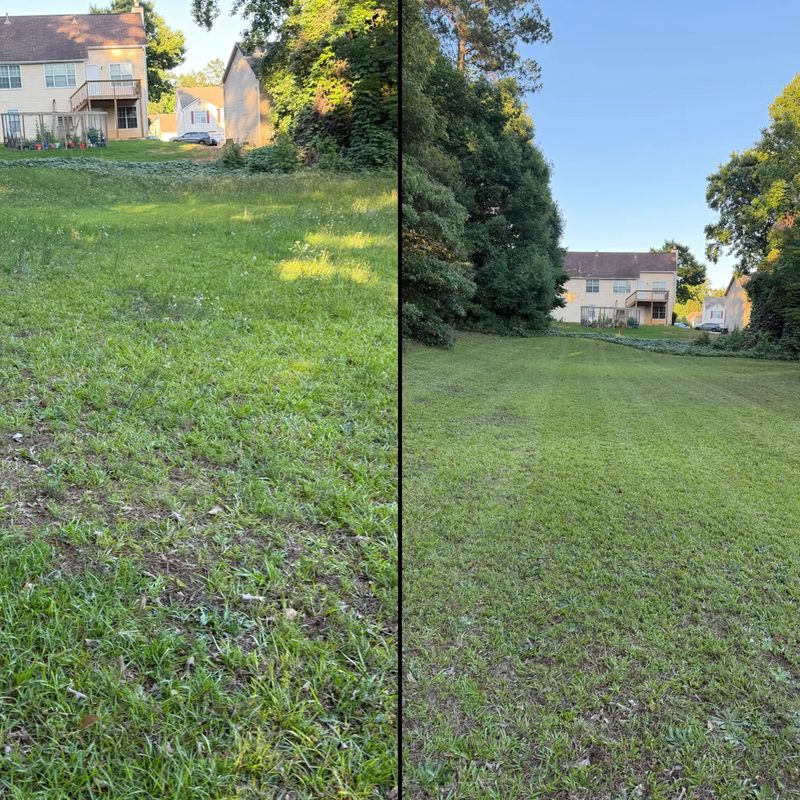 Lawn Mowing