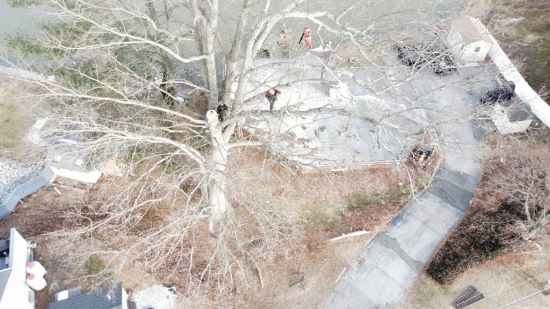 Drone Content