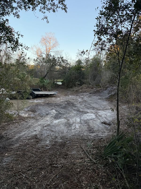 Land Clearing