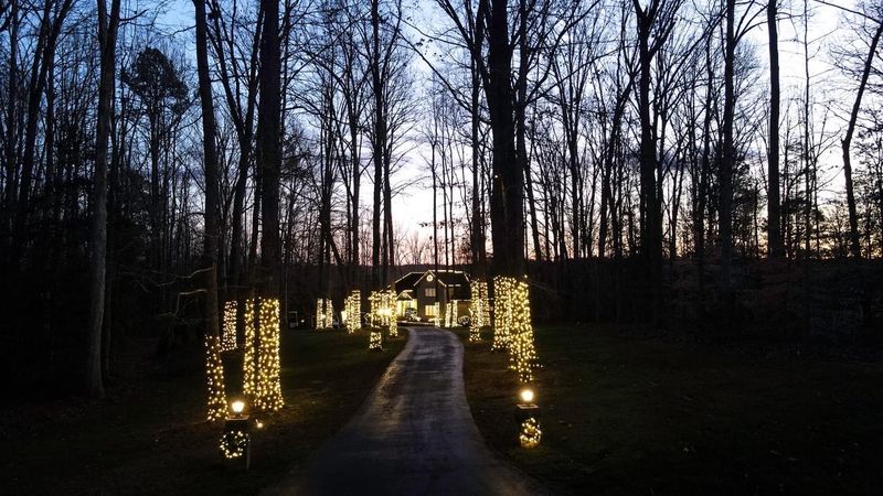 Holiday Lighting