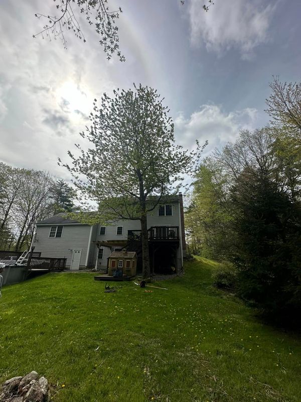 Tree Pruning