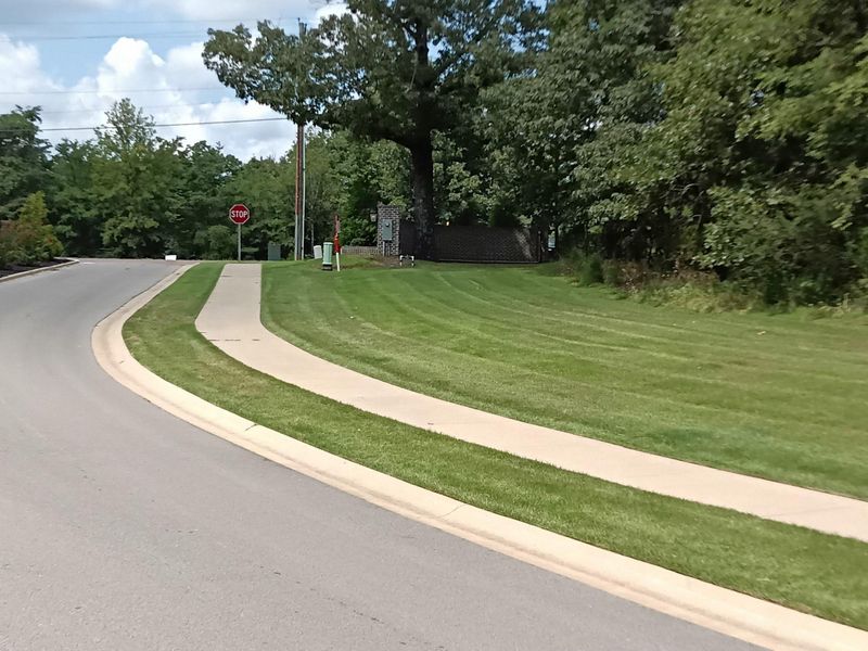 Landscape And Design