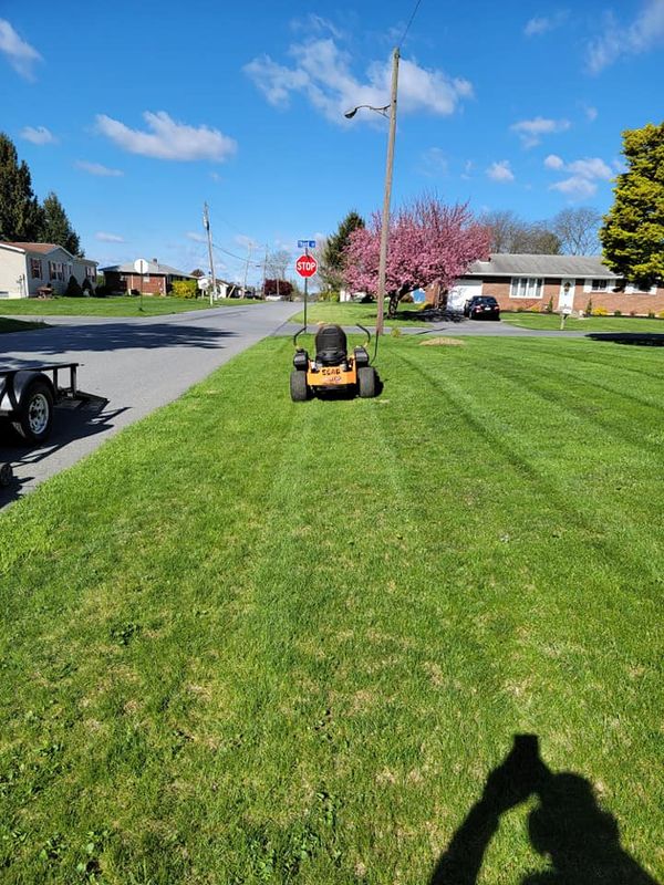 Mowing