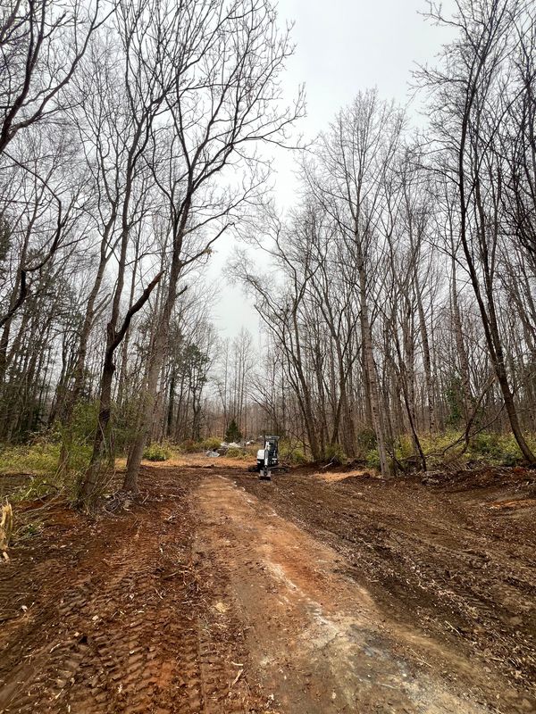 Land Clearing