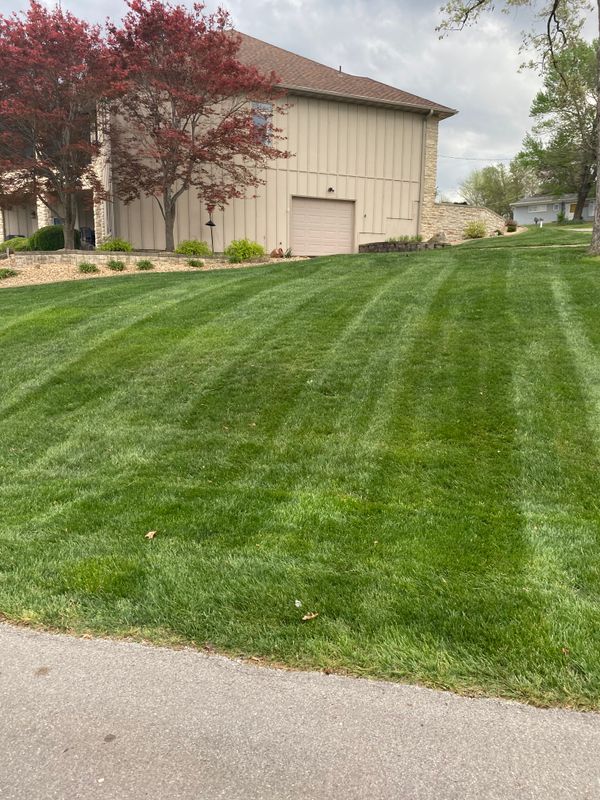 Lawn Mowing and Maintenance