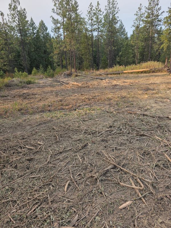 Forestry Mulching