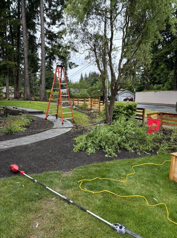 Shrub Trimming