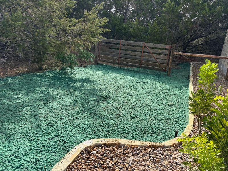 Hydroseeding