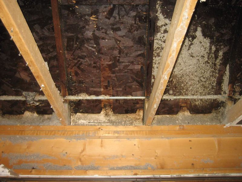 Fire and Water Damage Restoration Gallery