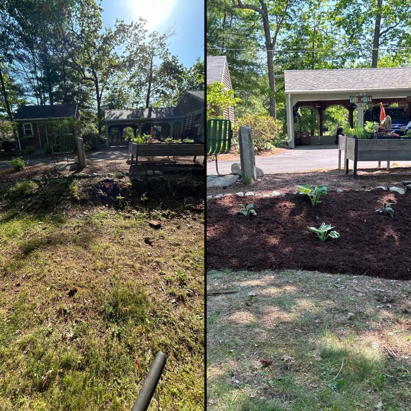 Landscape Design