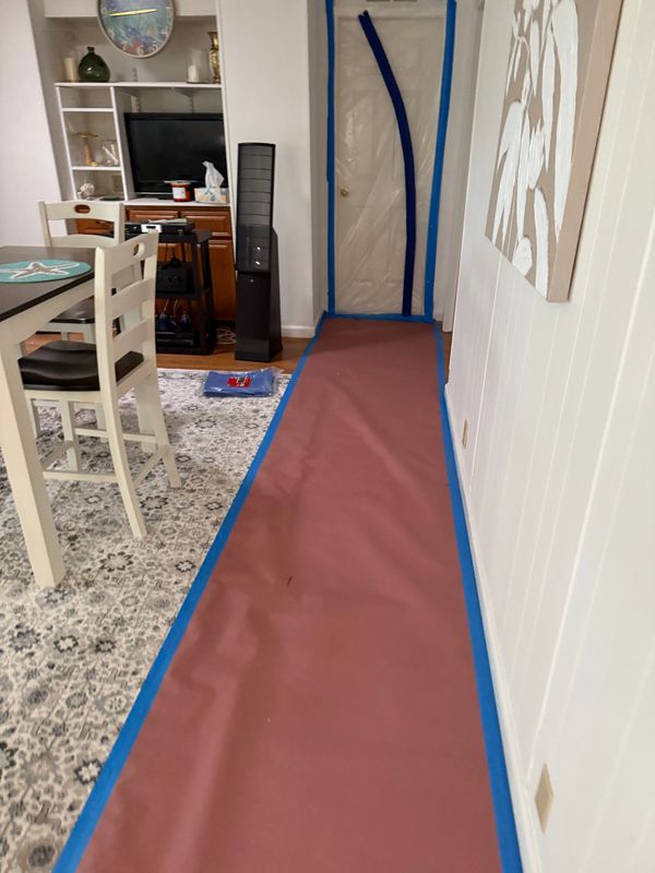 Mold Remediation