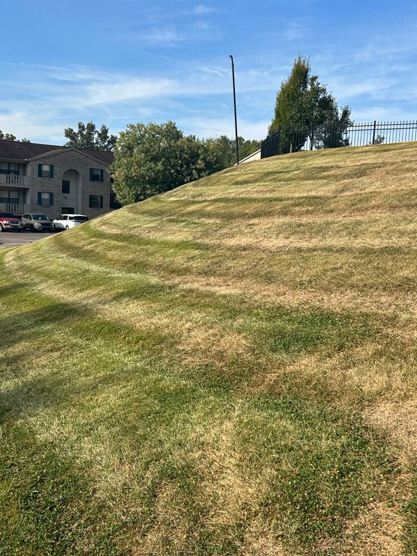 Sod and Grass Seed Installation