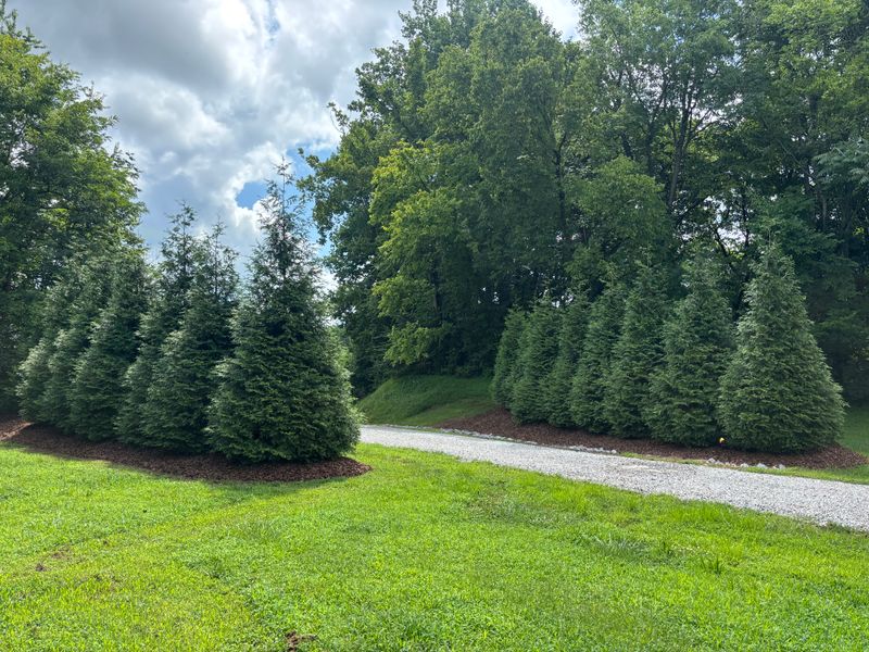 Privacy Trees
