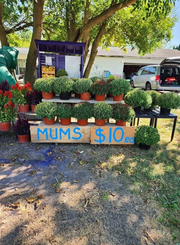 Garden Care and Planting