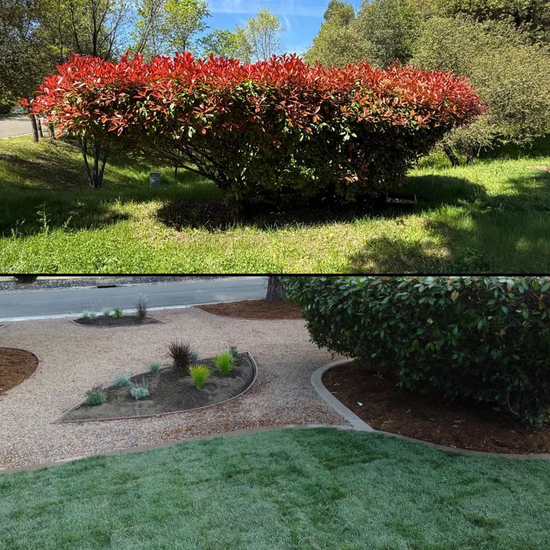 “Before & After”