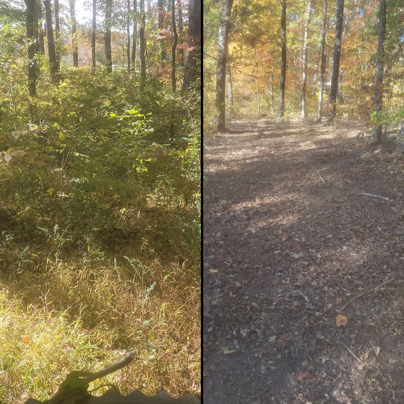 Land Clearing