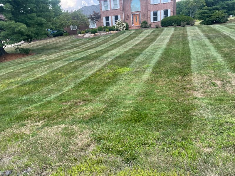 Mowing