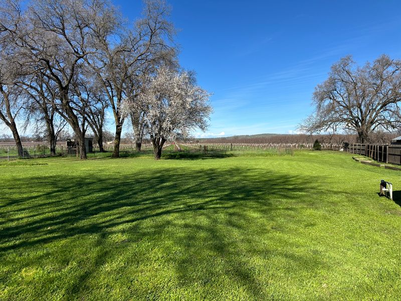 Lawn Maintenance